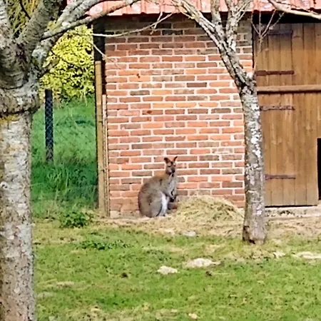 D'hotes Du Ranch *