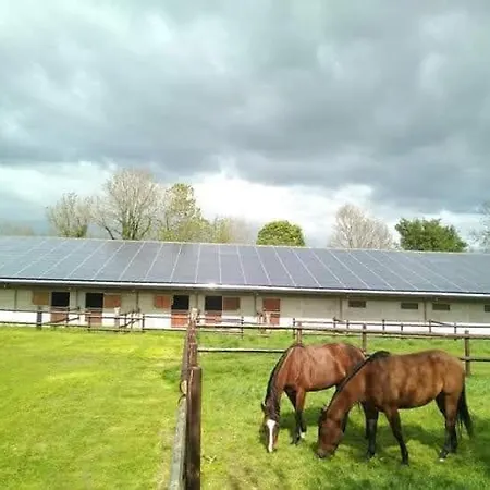 Casa vacanze D'hotes Du Ranch Callengeville
