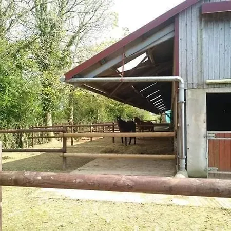 D'hotes Du Ranch *